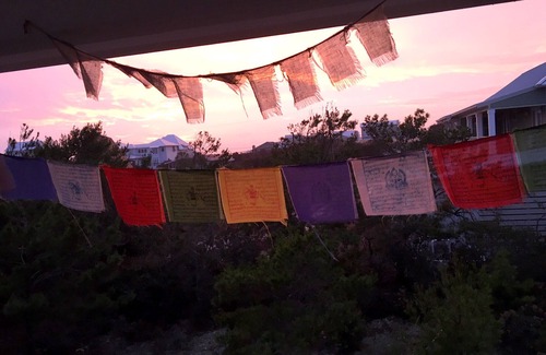 Inlet Beach House | Pristine couple's cottage. Short walk to public beach. Non-shedding dog welcome.