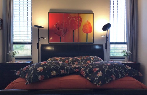 Tucson House | Privacy and views, with Saguaro National Park -East at the end of the street