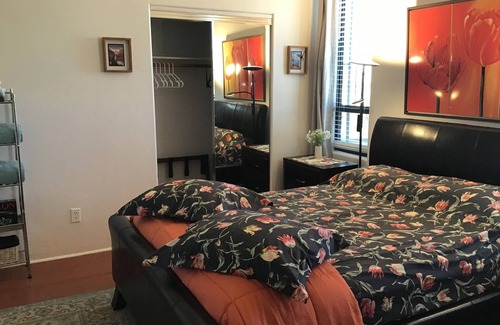 Tucson House | Privacy and views, with Saguaro National Park -East at the end of the street