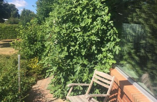 Nykobing Mors House | privat hjem på lukket villavej