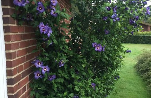 Nykobing Mors House | privat hjem på lukket villavej