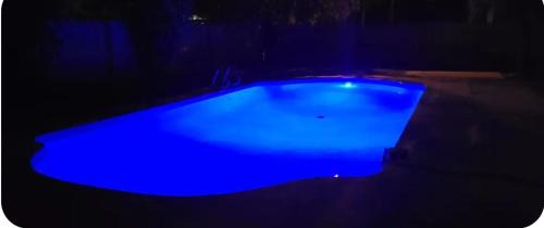 Clearwater House | Private 5BR Oasis with Pool Near Clearwater Beach