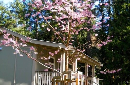 Pender Island Cottage | Private cottage in a quiet garden setting. Sunny, cozy, pet-friendly.