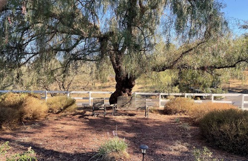 Ramona House | Private country home on 10 acres - Minutes to wine country and area attractions.