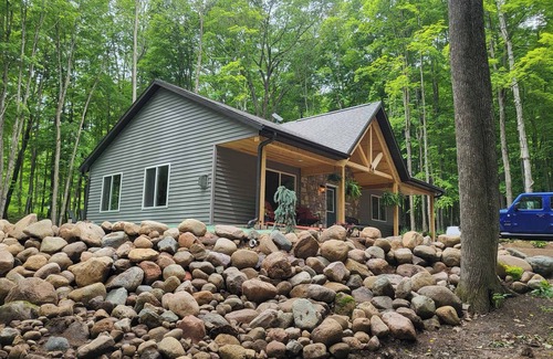 Pickerel Cabin | Private Cozy Luxury Cabin in Woods across from Lake, UTV trails - Pet Friendly