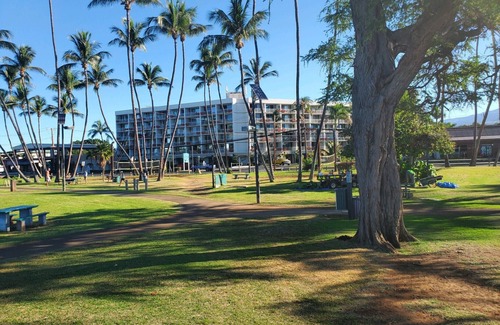 Kihei Apartment | Private Cozy Studio walking distance to beaches, shops, restaurants and bars