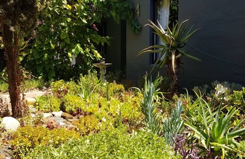 Edgemead House | Private double room CT