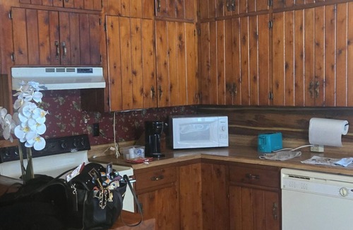 Olmstedville Cabin | Private Family Friendly, views of adk mountains! 15 min away from Gore Mountain!