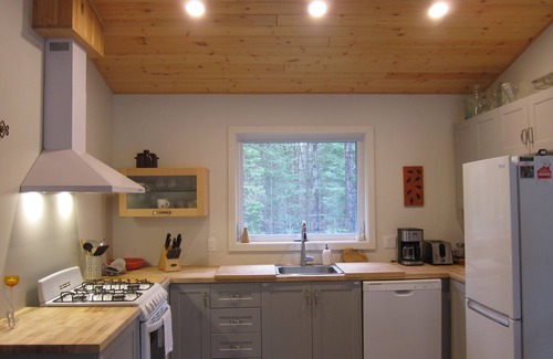 Irondale House | Private new 4 season oasis nestled amongst the trees close to Haliburton Village