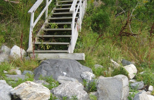Martinsville Cottage | Private oceanfront view just steps from the rocks! Family-owned, dog-friendly.