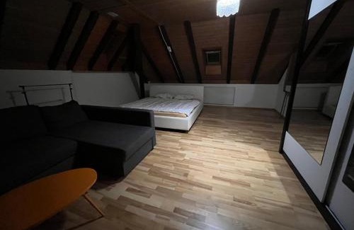 Bolligen House | Private room for long term rent 1000-1200CHF per month