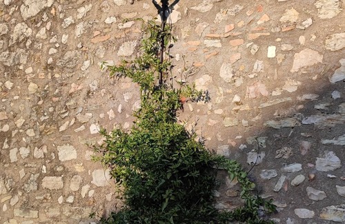 Spoleto House | Private rooms in Centro- with garden and Jacuzzi