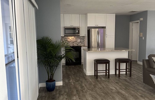 Lake Magdalene House | Private Ski Lake House in heart of Tampa