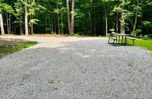 Atlanta RV Rental | Private wooded camp site in Atlanta