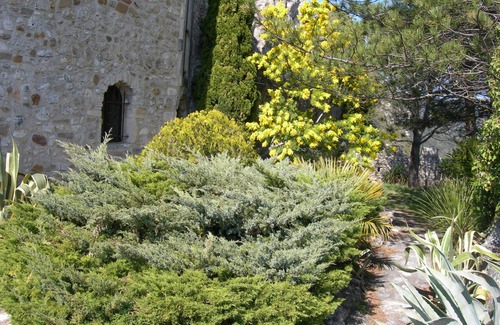 Aigueze House | PROMO!-10% Old restored chapel from the 12th century overlooking the Ardèche.