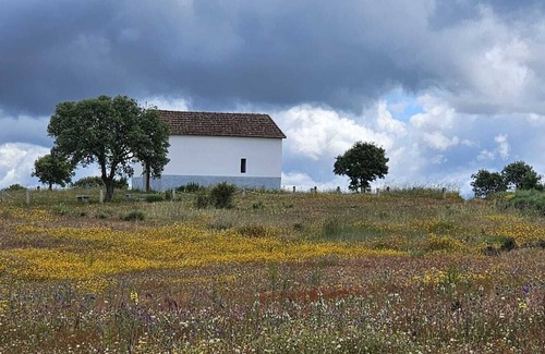 Macedo de Cavaleiros Cottage | Cozy retreat in typical TrÁs-os- Montes house in SAlselas Village at ´CASA MÃE'