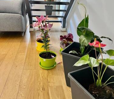 Rosario Apartment | Puerto Norte