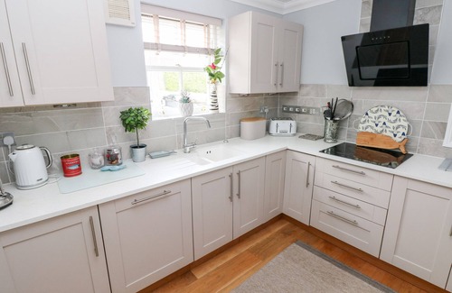 Tenby Cottage | Puffins