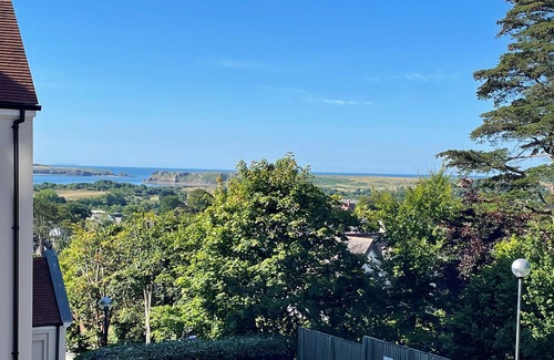 Tenby Cottage | Puffins