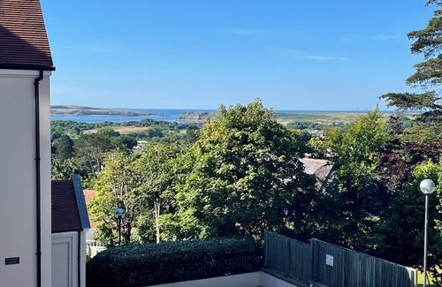 Tenby Cottage | Puffins