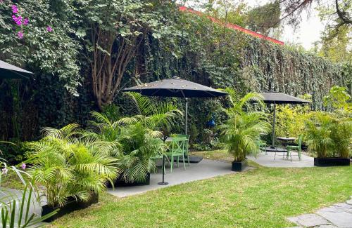 Polanco Hotel | Pug Seal Polanco Anatole France