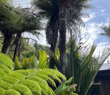 Cooks Beach House | Punga Cabin