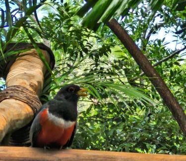 Sayulita Apartment | Punta Tokipa