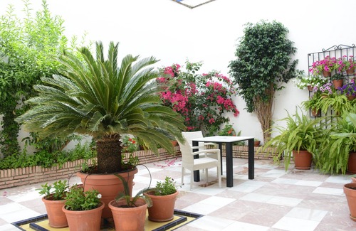 San Andres-San Pablo Apartment | Purísima Tourist Housing Ground floor apartment