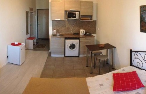 Pushkinsky District Apartment | Pushkin-Sofia