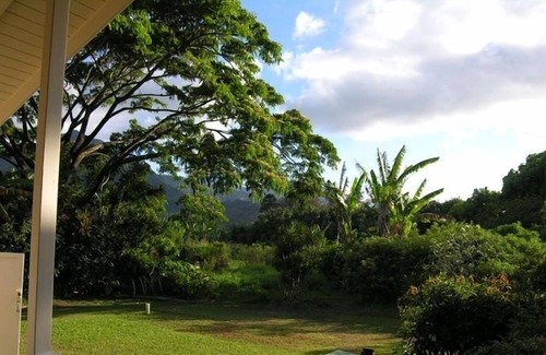 Hanalei Cottage | Quaint Cottage (TVNC#5100) in Heart of Hanalei, beach easy walk, $425/ni, 2 peop