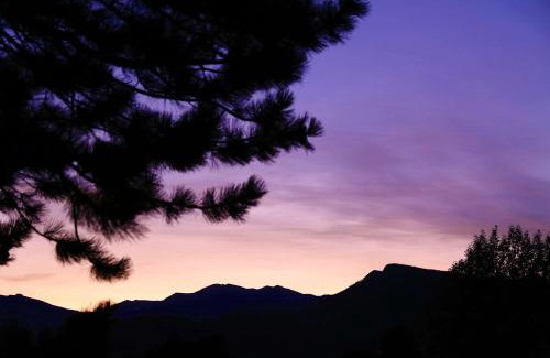 Estes Park Hotel | Quality Inn near Rocky Mountain National Park