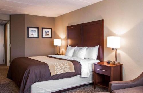 Orland Hills Hotel | Quality Inn & Suites Orland Park - Chicago
