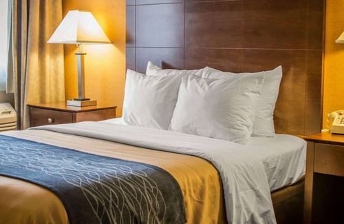 Port Huron Hotel | Quality Inn & Suites Port Huron