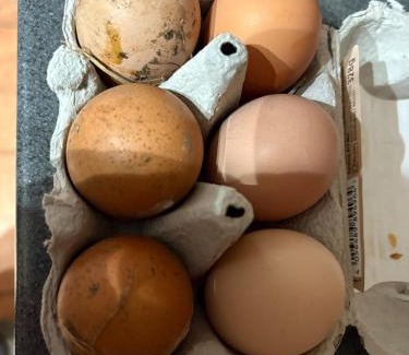 Winterbourne House | Quarry Barton Escape