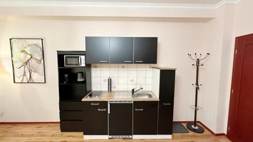 Weimar Apartment | Quartier Victoria - Exklusives Souterrain-Studio am Goethepark mit Küche
