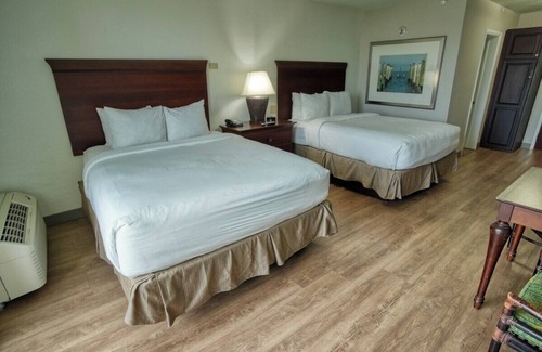 Treasure Island Hotel | Queen Queen Poolside