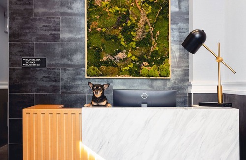 Queens House | Queen Studio in Stylish Family-Owned Gem Near Manhattan - Wheelchair Accessible
