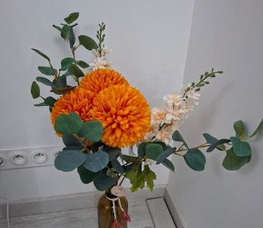 L'Ile-Bouchard Apartment | Quiet apartment Chamaillard 2