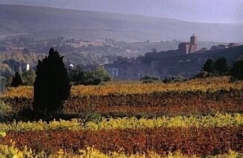 Cucugnan Apartment | Quiet, Comfortable Retreat Among Hills And Vineyards. Great Walks, Great Wines