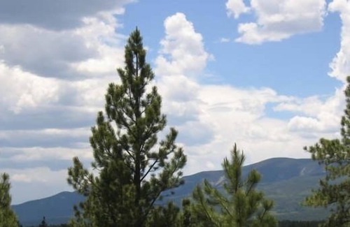Angel Fire Cabin | Quiet Log Cabin 5 Min from Angel Fire Sleeps10