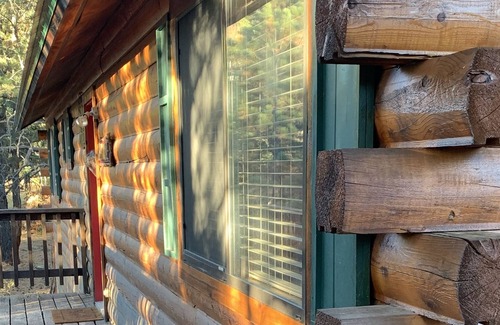 Angel Fire Cabin | Quiet Log Cabin 5 Min from Angel Fire Sleeps10