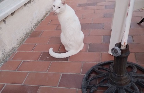 Estoublon House | Quiet room for returners and others!