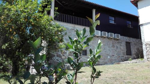 Crasto House | Quinta da Mata