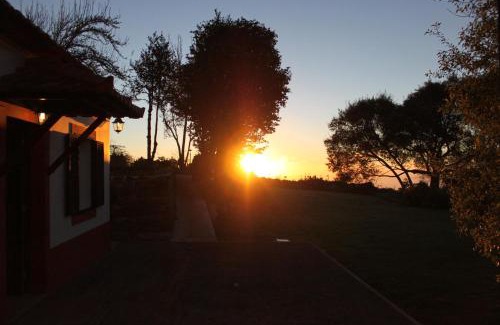 Camacha House | Quinta Das Faias