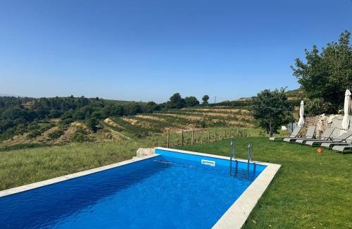 Baiao Villa | Quinta de Águas Mortas