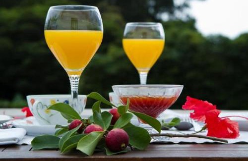 Livramento House | Quinta de São Caetano - São Miguel Açores