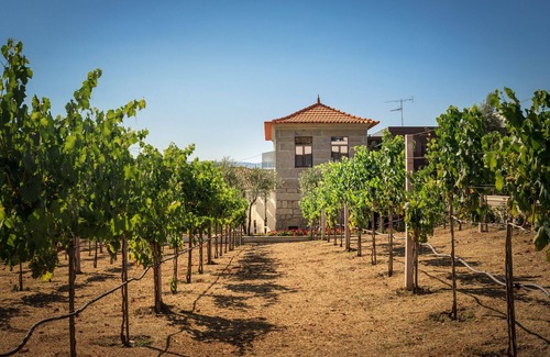 Cinfaes House | Quinta do Aido - WineTourism