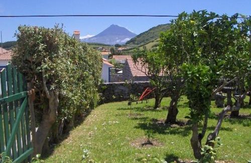 Flamengos House | Quinta do Canto