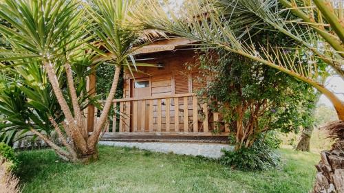 Penafiel House | Quinta Do Padrao