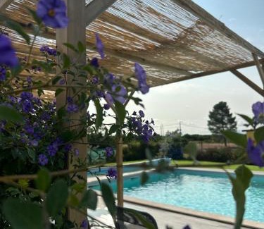 Grandola House | Quinta do Pica-Pau Amarelo
